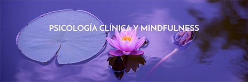 Diseño web para centro de Psicología clinica mindfulness metta centre