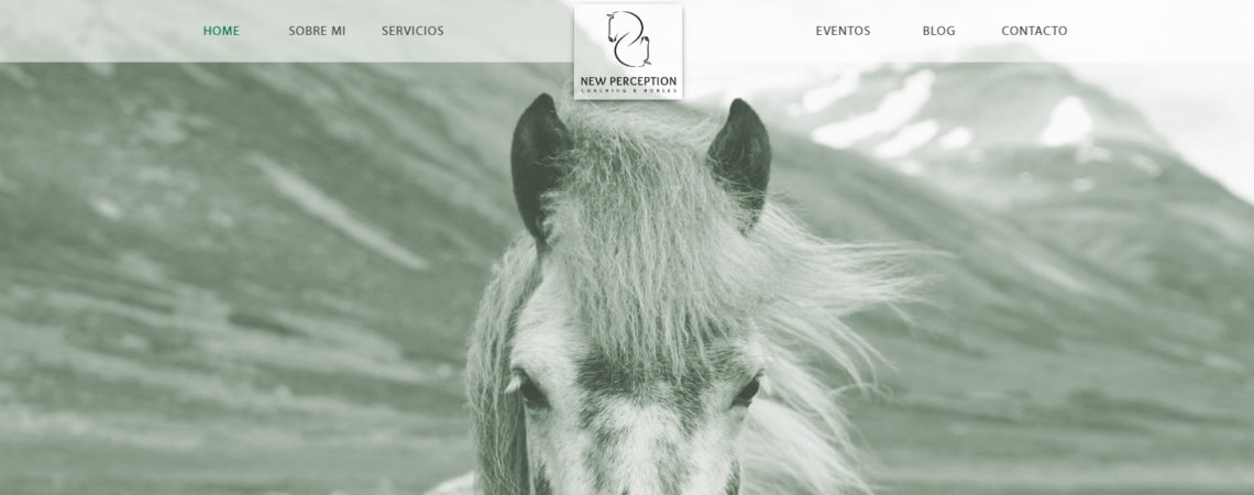 new perception coaching con caballos valencia 02